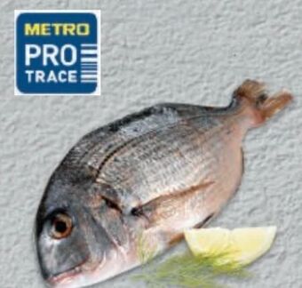 Metro Dorade rose Angebot