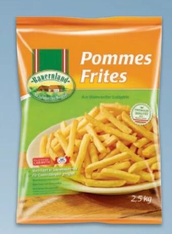 Metro Pommes frites Angebot