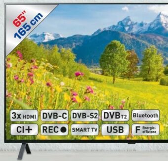 Metro Oled tv 65a29la Angebot