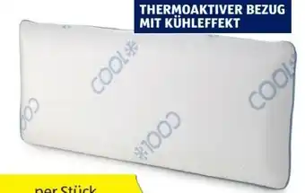 Hofer Nackenstützkissen cool Angebot