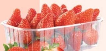 Maximarkt Erdbeeren Angebot