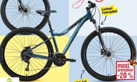 Maximarkt Bike mtb matts 7.30 Angebot