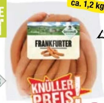 Maximarkt Frankfurter Angebot
