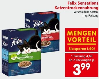 Interspar Felix Sensations Katzentrockennahrung Verschiedene Sorten, 1-kg-Packung Angebot