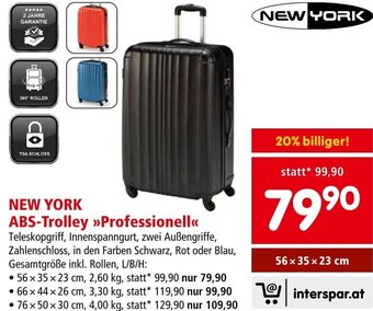 Interspar NEW YORK ABS-Trolley >>Professionell<< Angebot