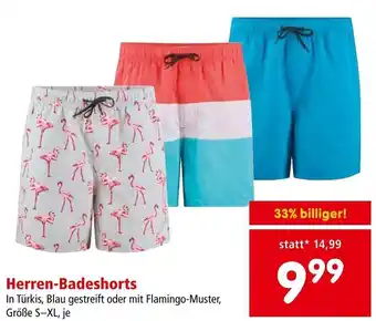 Interspar Herren-Badeshorts Größe S-XL, je Angebot