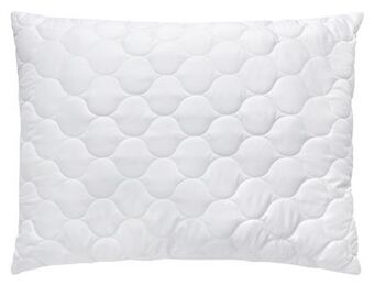 Mömax Kopfpolster aloe vera Angebot