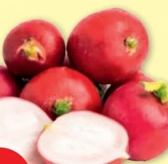 PENNY Snack radieschen Angebot