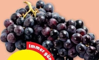 PENNY Trauben Angebot