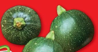 Lidl Zucchini rund Angebot