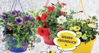 Lidl Bunte ampel Angebot