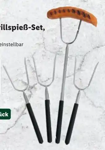 Lidl Teleskop-grillspieß-set Angebot