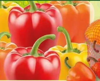 Norma Paprika sweet mix Angebot