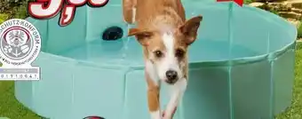 KiK Hundepool Angebot