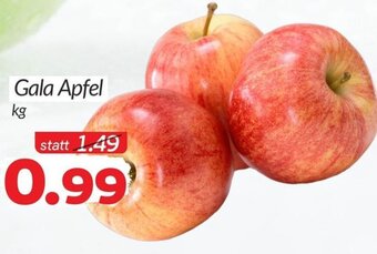 ETSAN Gala Apfel kg Angebot