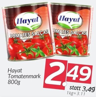 ETSAN Hayat Tomatenmark 800g Angebot