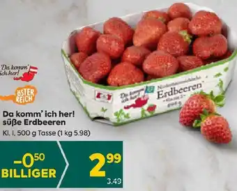 Billa Da komm' ich her! süße Erdbeeren 500 g Angebot