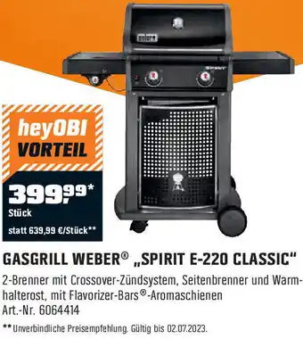 OBI GASGRILL WEBER® ,,SPIRIT E-220 CLASSIC" 2-Brenner Angebot