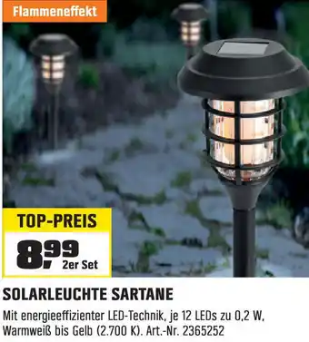 OBI SOLARLEUCHTE SARTANE 2er Set Angebot