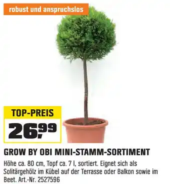 OBI GROW BY OBI MINI-STAMM-SORTIMENT Höhe ca. 80 cm, Topf ca. 7 l, sortiert. Angebot