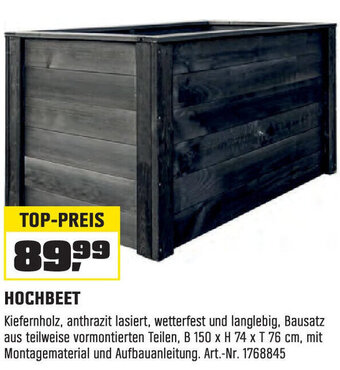 OBI HOCHBEET Angebot
