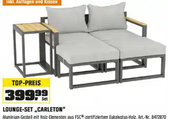 OBI LOUNGE-SET ,,CARLETON" Angebot
