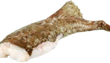 Transgourmet Angler Angebot