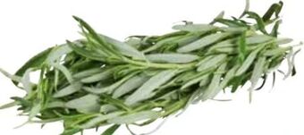 Transgourmet Rosmarin Angebot
