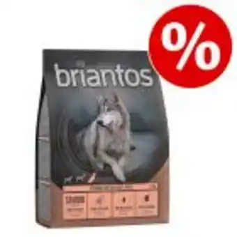 Zooplus 1 kg briantos senior pute & kartoffel - getreidefrei zum probierpreis! Angebot