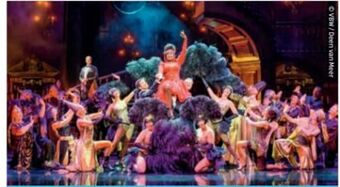 Hofer Reisen Wien musical rebecca Angebot