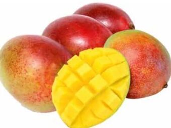 Transgourmet Mango Angebot