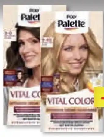 Unimarkt Palette vital color haarfarbe Angebot