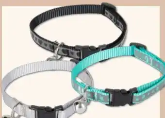 KiK Katzen halsband Angebot