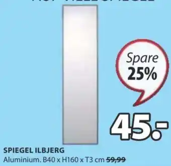 JYSK SPIEGEL ILBJERG Aluminium. B40 x H160 x T3 cm Angebot
