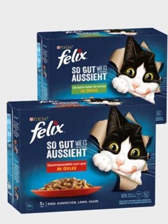 Interspar Felix katzennahrung Angebot