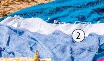 Interspar Strandtuch raa Angebot