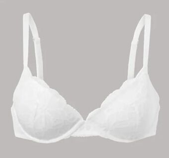 Tchibo Eduscho Damen push-up-bh Angebot
