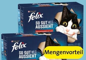 Spar Felix katzennahrung Angebot