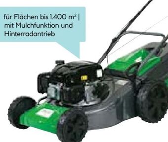 Hellweg Benzin-rasenmäher 46 sp-a Angebot