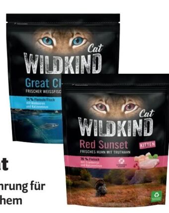 Das Futterhaus Cat Angebot