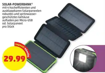 PENNY SOLAR-POWERBANK* pro Stück Angebot