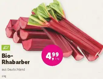 Denn's Biomarkt Bio-Rhabarber aus Deutschland 1 kg Angebot