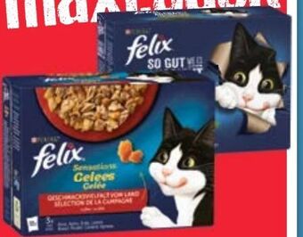 Maximarkt Felix katzennahrung Angebot
