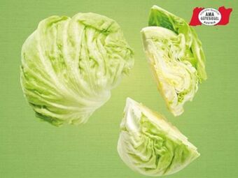 Lidl Eisbergsalat Angebot