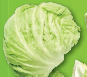 Lidl Eisbergsalat Angebot