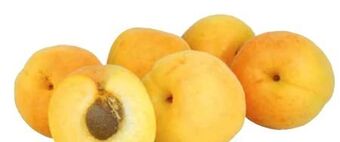 Transgourmet Marillen Angebot