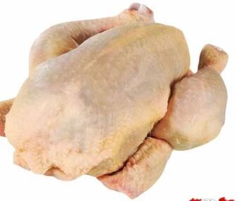 Transgourmet Hühner grillfertig Angebot