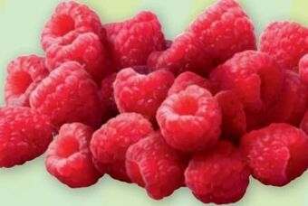 PENNY Himbeeren Angebot