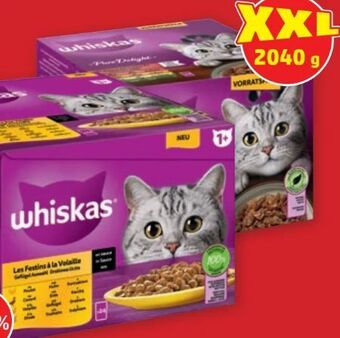 PENNY Katzenfutter frischebeutel Angebot