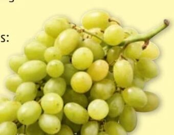 PENNY Trauben Angebot